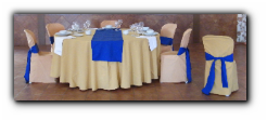 Albero 607